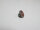Seedsigner DIY Kit Bausatz mit Open Pill Mini Case